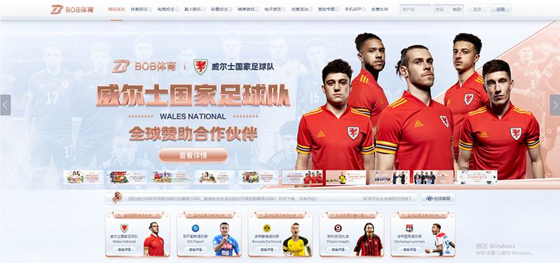 B九州娱乐 - 德甲多特蒙德官方合作伙伴 2 B九州娱乐简介